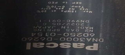  PASCAL DNA3000-D6260  IDEA