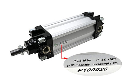  63x125 P100026 (30110641)